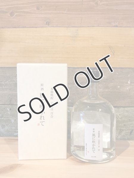 画像1: 【芋焼酎】 風に吹かれて 42度 720ml (1)