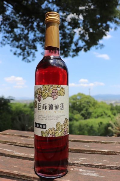 画像1: 【赤ワイン】 巨峰葡萄酒 ルージュ 12％ 720ml  (1)