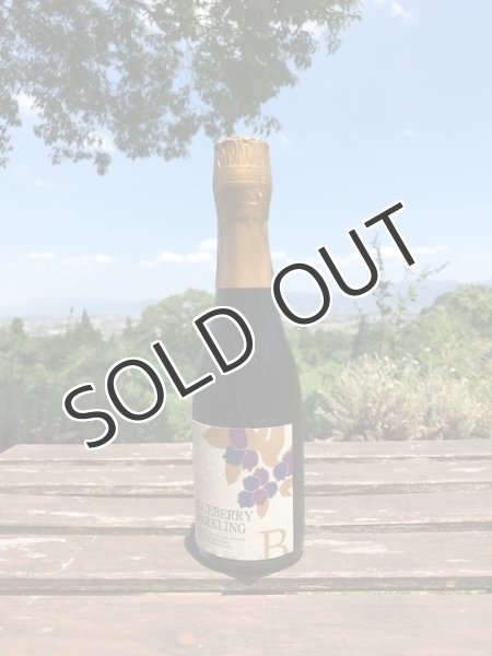 画像1: 【ブルーベリーワイン/スパークリング】 スパークリングブルーベリーワイン 3〜7％ 375ml 【冷蔵品】 (1)