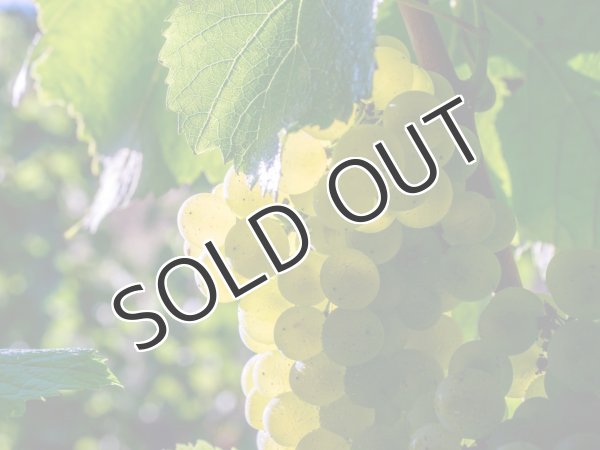 画像3: 【白・辛口・スパークリングワイン】Cà Rovere Brut MIL.2016 750ml １本 (3)