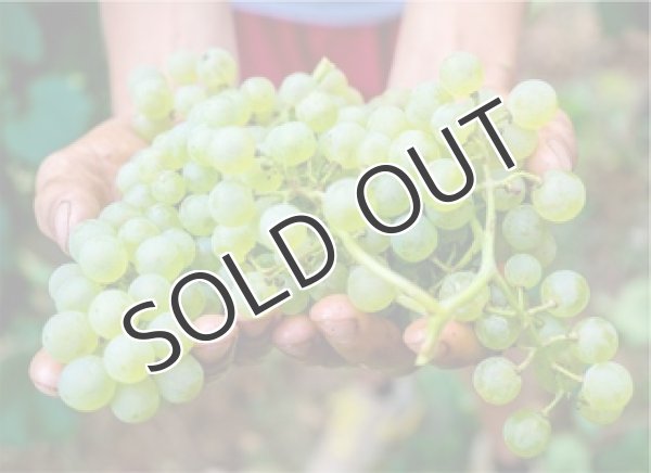 画像3: 【白・辛口・スパークリングワイン】Cà Rovere Blanc de Blanc Brut  MIL.2015 750ml １本 (3)