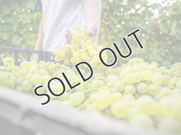 画像4: 【ロゼ・辛口・スパークリングワイン】Cà Rovere Brut Rose  MIL.2014 750ml 1本 (4)