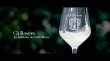 画像4: 【白・辛口・スパークリングワイン】Cà Rovere Blanc de Blanc Brut  MIL.2015 750ml １本 (4)