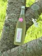 画像2: 【麦焼酎】 ゑびす酒造 らんびき Limited 桜 25度 720ml【化粧箱入り】 (2)