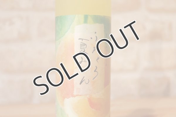 画像2: 【リキュール】 ふわとろ夏みかん 7度 500ml (2)