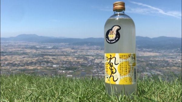 画像2: 【リキュール】 国産レモンサワーの素　れもん　22度　720ml (2)