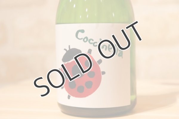 画像2: みいの寿  Coccinella - コチネレ - 純米酒 500ml (冷蔵) (2)