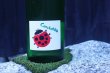 画像2: みいの寿　 Coccinella - コチネレ - 純米酒 1800ml （冷蔵） (2)