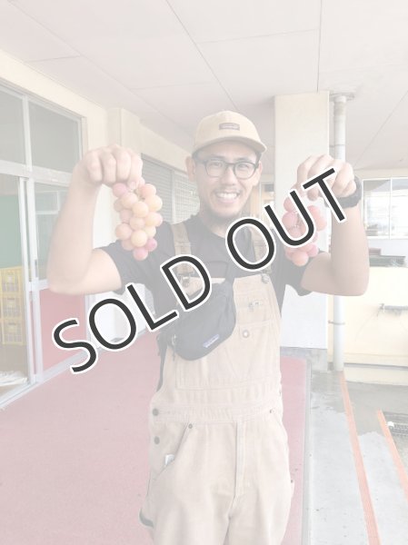 画像5: 【微発泡ワイン】SHINDO WINES シンドーワインズ  UKIHA BUBBLES 2021 750ml (5)