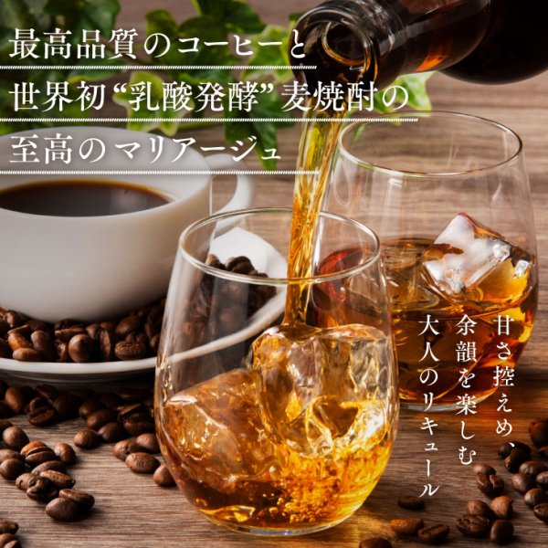 画像3: 【リキュール】 コーヒースペシャリテ　25度　700ml (3)