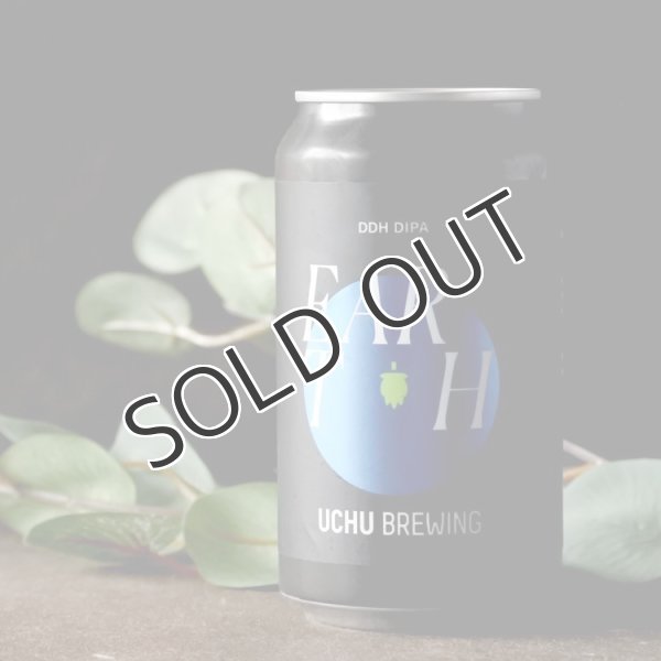 画像3: 【クラフトビール】うちゅうブルーイング EARTH  350ml 缶（冷蔵） (3)