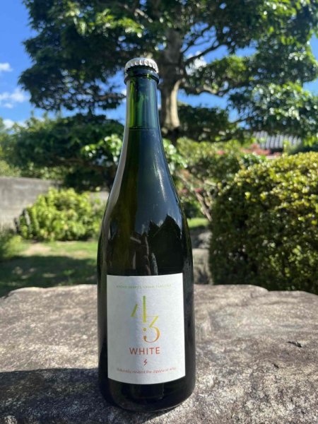 画像1: SHINDO WINES　pH4.3 WHITE  2022（クール便推奨） (1)