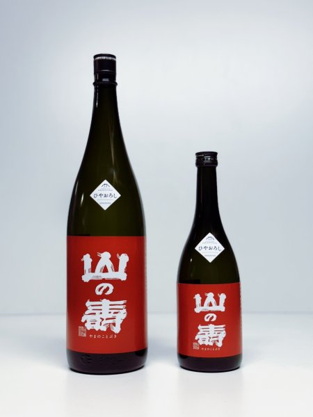 画像1: 山の壽　純米酒　辛口　ひやおろし  1800ml 【クール便推奨】 (1)