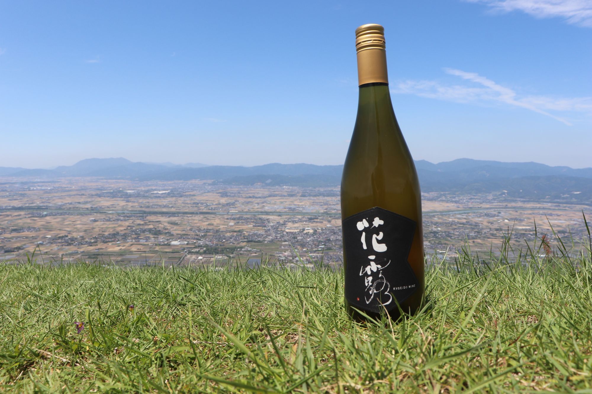 後藤商店 正規販売店 福岡県久留米市 ちょうどいい田舎にある酒屋 後藤商店 正規販売店 福岡県久留米市 ちょうどいい田舎にある酒屋