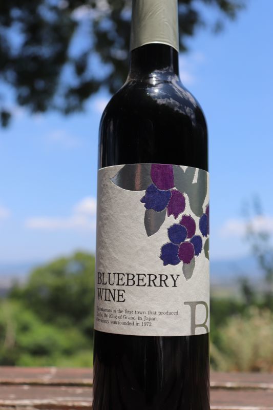 【ブルーベリーワイン】 ブルーベリーワイン セミドライ 8％ 500ml 
