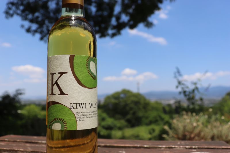 【フルーツワイン】 キウイ  8％ 500ml 